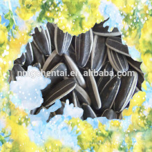 2019 Chinese bulk striped hybrid cheap confectionery sunflower seeds